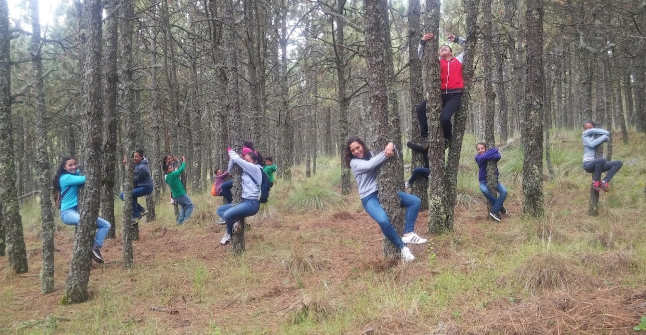 Baño de bosque en Acopinalco del Peñón