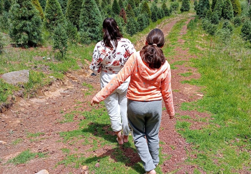 Earthing, conexión con la tierra