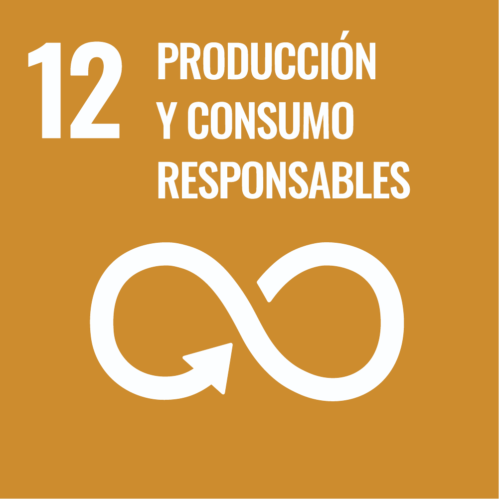 12 Produccion y Consumo Responsble