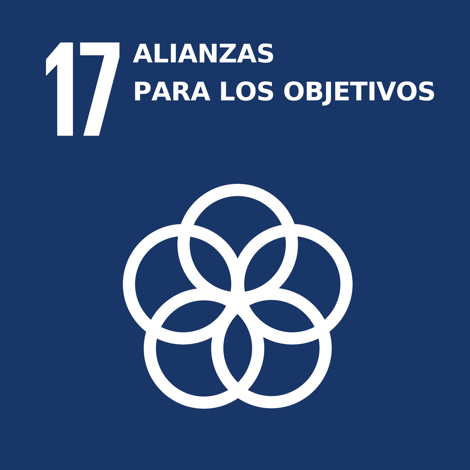 17 Alianza